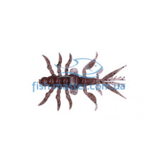 Silicone Bait Breath Skeleton Shrimp SSP (8pcs / pack) # S866