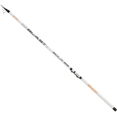  Bolognese rod Brain Blast Bolo SE 4.0m