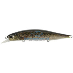 Lure DUO Realis Jerkbait 120SP 120mm 18.0g CCC3815