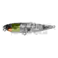 Lure Jackall Chubby Pencil 55 Ghost Shrimp