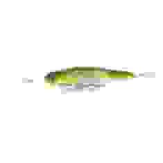 Lure Jackall Dowzvido 90SP 90mm 10.7g Ghost Ayu