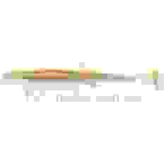 Силикон Keitech Easy Shiner 3" (10 шт/упак) ц:412 wakasagi