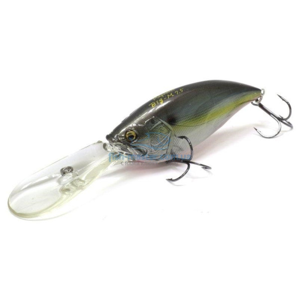 Lure Megabass Big-M 7.5 Jukucho Shad