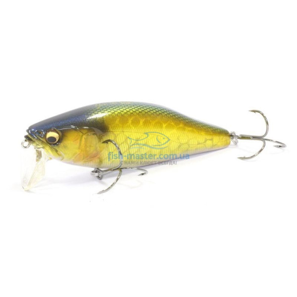 Lure Megabass I-Jack Gold Carp
