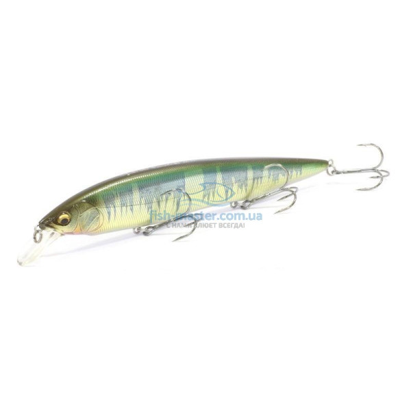 Lure Megabass Kanata Wagin Hasu KT