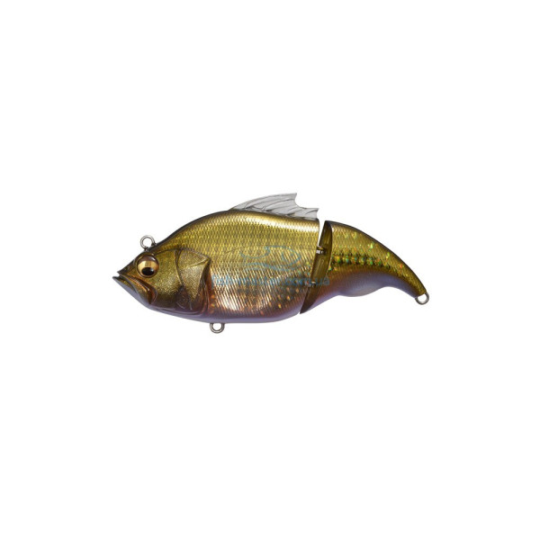 Lure Megabass Vatalion F GG Kin Buna