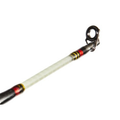 Trolling rod Salmo Power Stick TROLLING SPIN 50-100g 2.4m (2404-240)