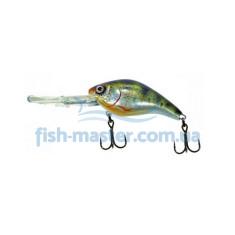 Lure Pontoon 21 Panacea Marauder FAT 80F DR T003