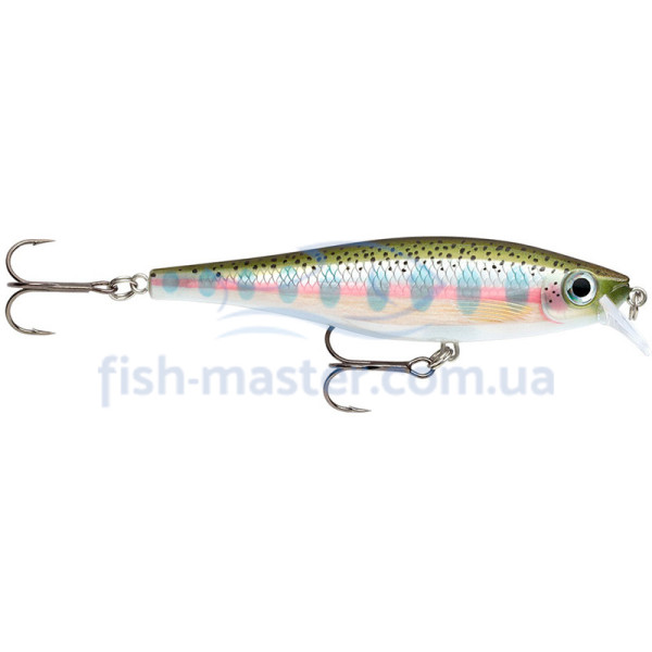 Lure Rapala BX MINNOW BXM10 RT