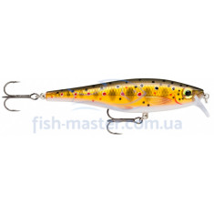 Lure Rapala BX MINNOW BXM10 TR