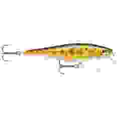 Lure Rapala BX MINNOW BXM10 TR