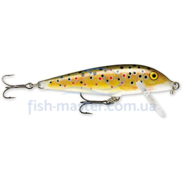 Lure Rapala CountDown CD11 TR