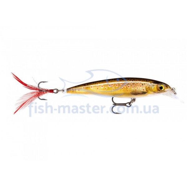 Lure Rapala X-Rap XR06 TRL