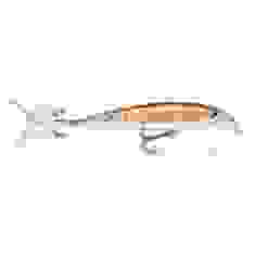 Lure Rapala X-Rap XR08 TR