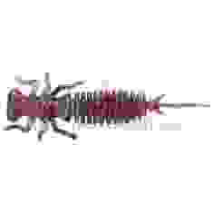 Силикон Select Chika 1.6" col.010, (10 шт/упак)