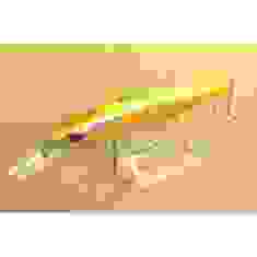 Lure Tsuyoki ASTROLOG 115SP 202