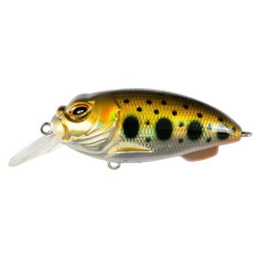 Lure Tsuyoki PLUG SR 55F 224