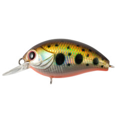 Lure Tsuyoki AGENT 36F 224