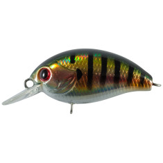 Lure Tsuyoki AGENT 36F 807