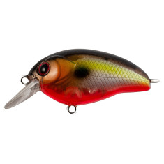 Lure Tsuyoki AGENT 40F 207R