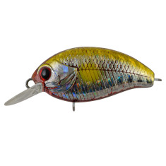 Lure Tsuyoki AGENT 36F A244