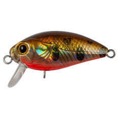 Lure Tsuyoki FUGAZ SSR 36F 414