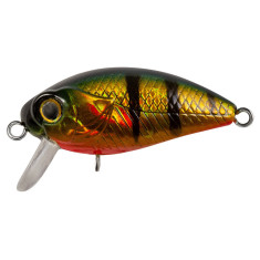 Lure Tsuyoki FUGAZ SSR 36F A049