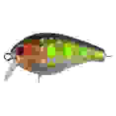Lure Tsuyoki MACHO SR 42F L407
