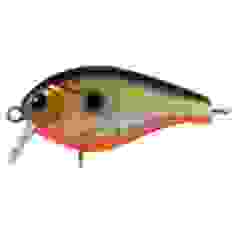 Lure Tsuyoki MACHO SR 42F 207R