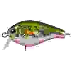 Lure Tsuyoki MACHO SR 42F 435R