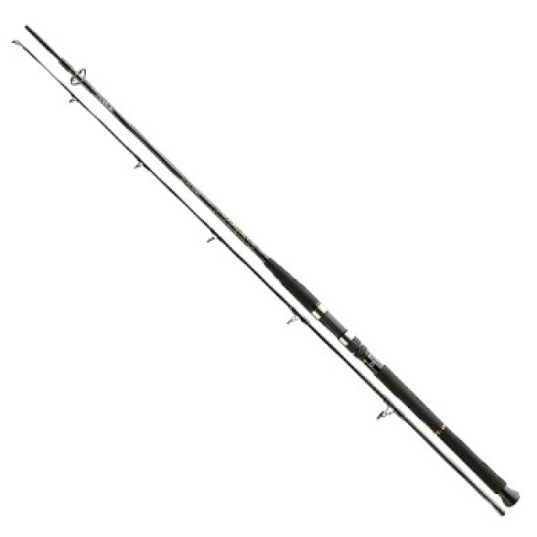 Спиннинг Daiwa BG Boat 2.40m 150-400g