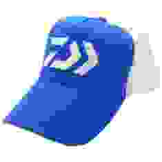 Кепка Daiwa Logo Mesh Cap Blue