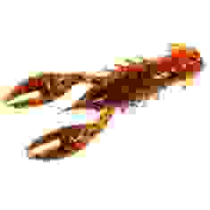 Плавающий силикон Z-Man TRD Crawz 2.5" 6pc #Green Pumpkin Orange