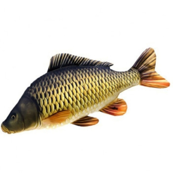 Подушка-іграшка 3KBaits риба короп 64*30
