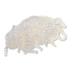 Силикон Fresh Lures Bloood Worm  0.75" #002