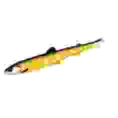 Silicone Westin BullTeez Shadtail 12.5cm 16g #Official Roach 2pc