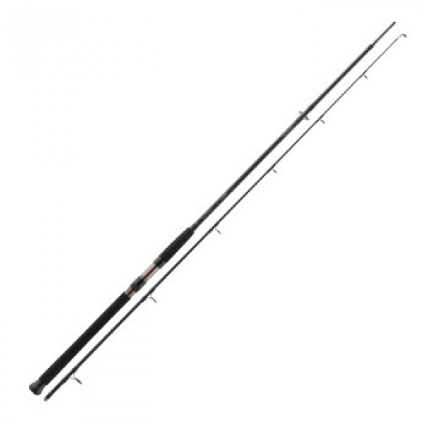 Спиннинг Daiwa Exceler Catfish Spin 2.40m -185gr