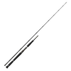 Spinning rod Daiwa Pro Staff CF Vertical 1.9m 180g