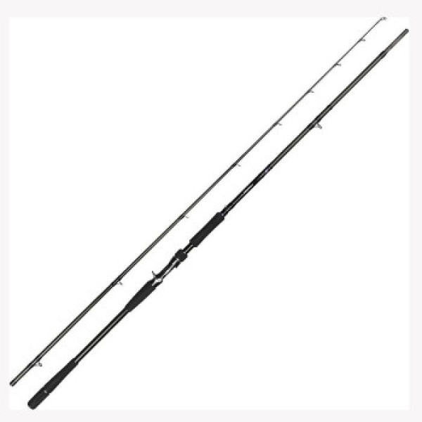 Спиннинг Daiwa Prorex AGS Spin Lazy Pike 8` 2.44m 40-120g