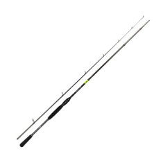 Spinning rod Daiwa Prorex X Spin 2.56m 30-120g
