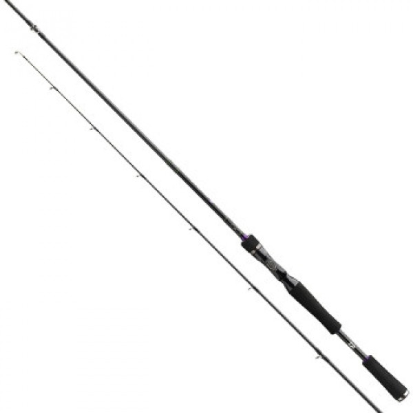 Спінінг Daiwa Prorex XR BC 2.40m 40-120gr