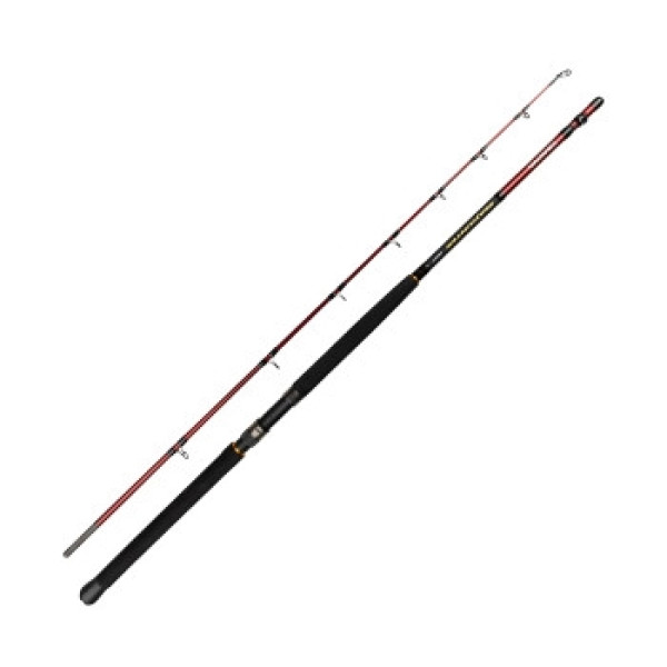 Spinning rod Daiwa Seahunter Boat 2.13m 20-30LB