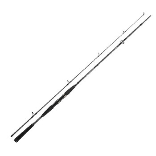 Spinning rod Daiwa Seahunter X 2.40m 40-120g