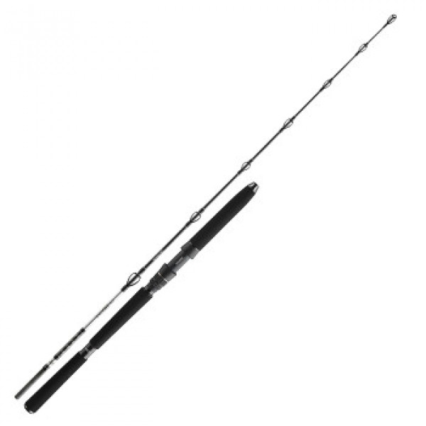 Вудлище Daiwa BG Deep Sea 2,20m 30-40lbs