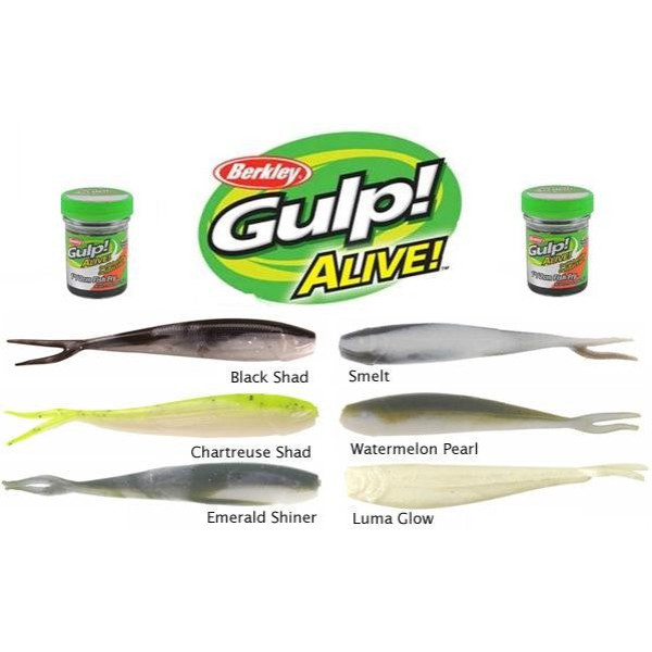Малёк Berkley Gulp! Minnow 1" Luma Glow