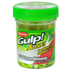 Berkley Gulp fry! Minnow 1" Chartreuse Shad