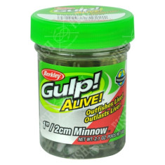 Berkley Gulp fry! Minnow 1" Emerald Shiner