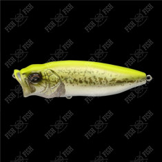 Wobbler Megabass POPMAX col. GG CHART BACK BASS
