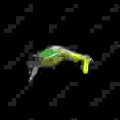 Воблер Megabass TYPE-X col. MAT TIGER
