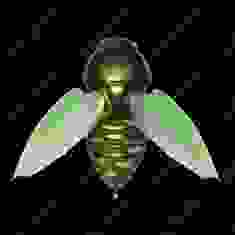 Воблер Megabass BEETLE-X col. HANAMUGURI